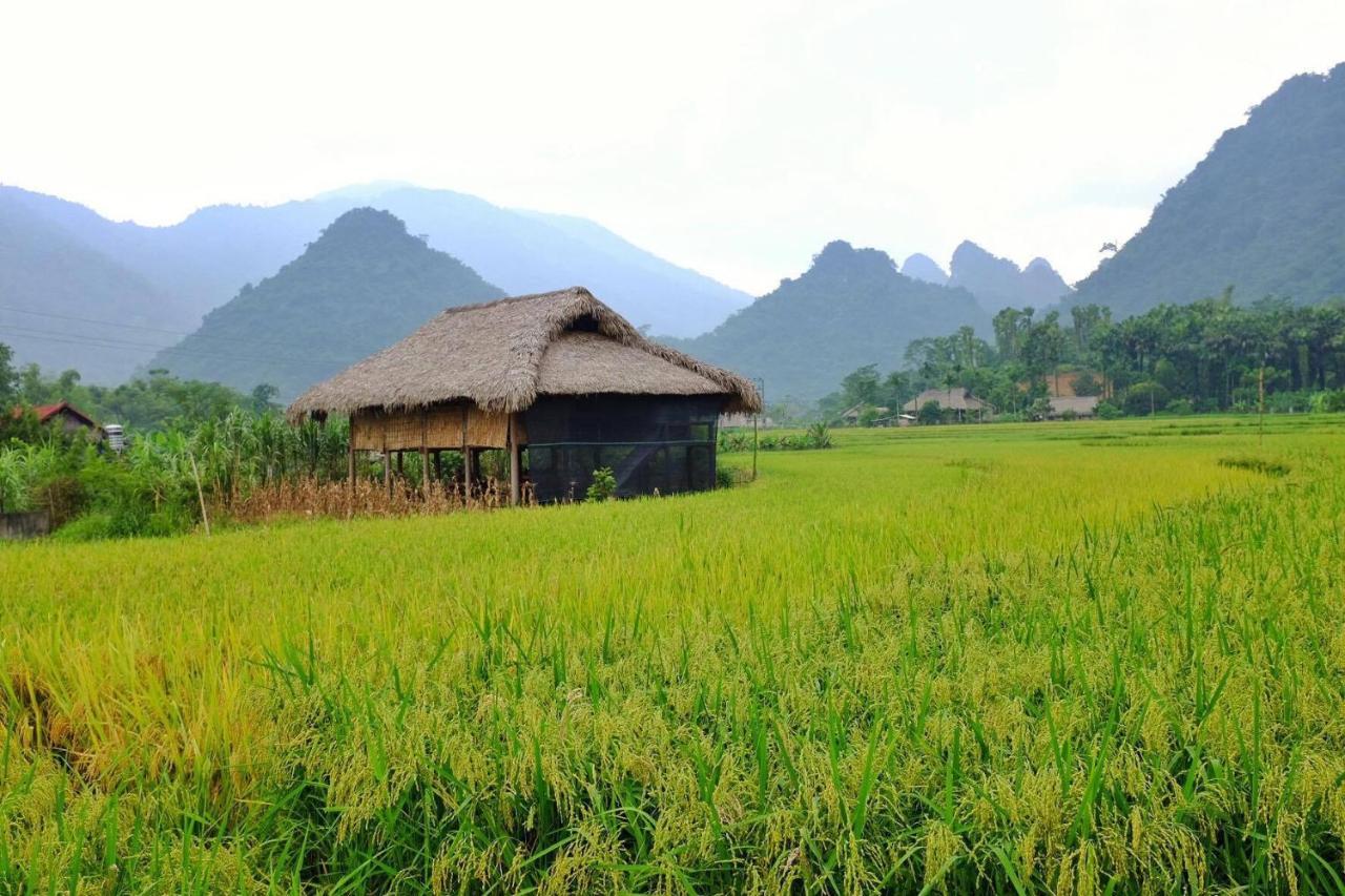 Xoi Farmstay - Eco Homestay Luc Yen Yen Bai Exterior foto