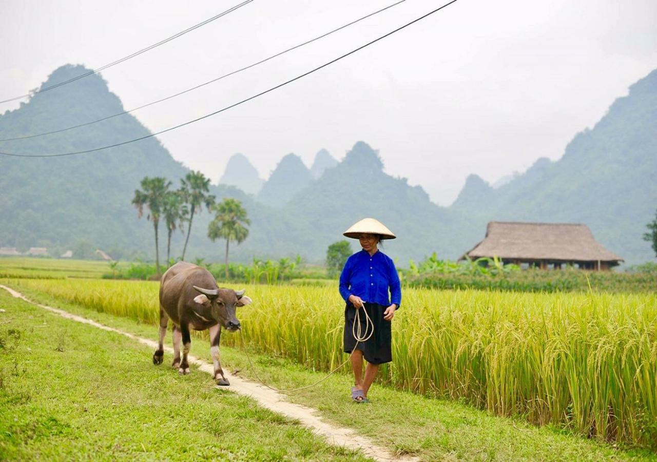 Xoi Farmstay - Eco Homestay Luc Yen Yen Bai Exterior foto